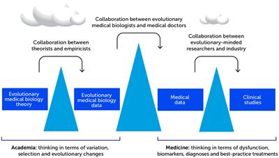 The possible futures of evolutionary medicine
